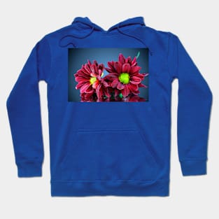 Maroon Flowers Hoodie